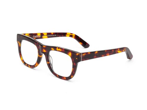 Caddis D28 | Reading Glasses