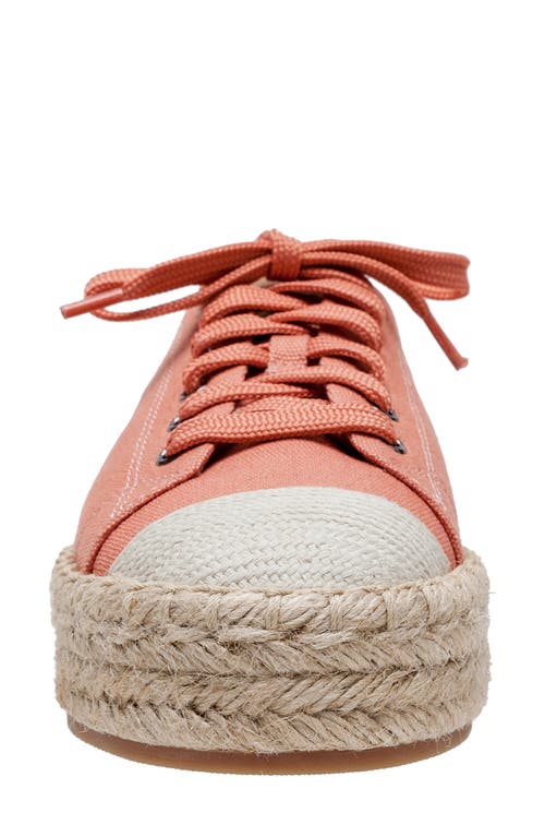 Shop Linea Paolo Silva Espadrille Sneaker In Rose/desert