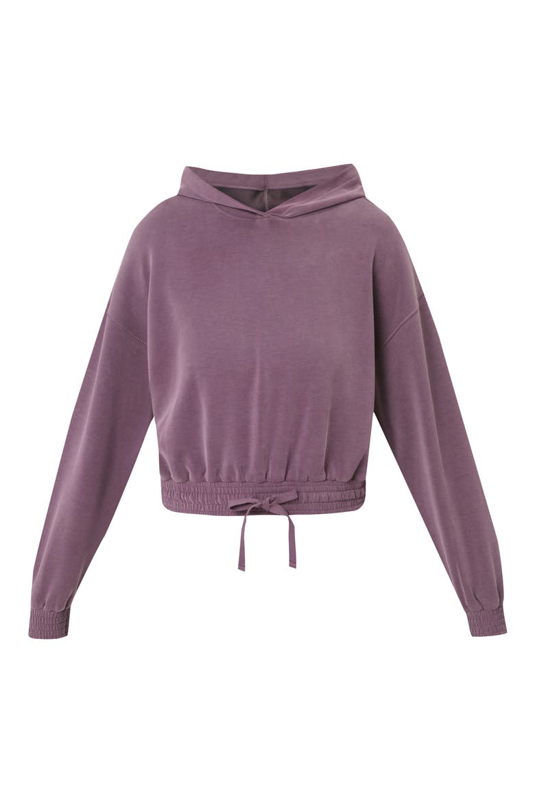 Sand Wash Cloud Weight Crop Hoodie, Alternate, color, NEPTUNE PURPLE