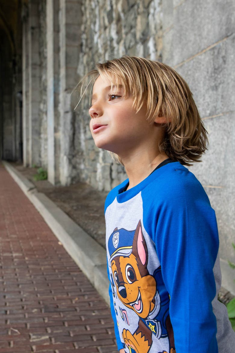 Paw Patrol 3-Pack Long Sleeve T-Shirts, Alternate, color, Red Grey Yellow Blue