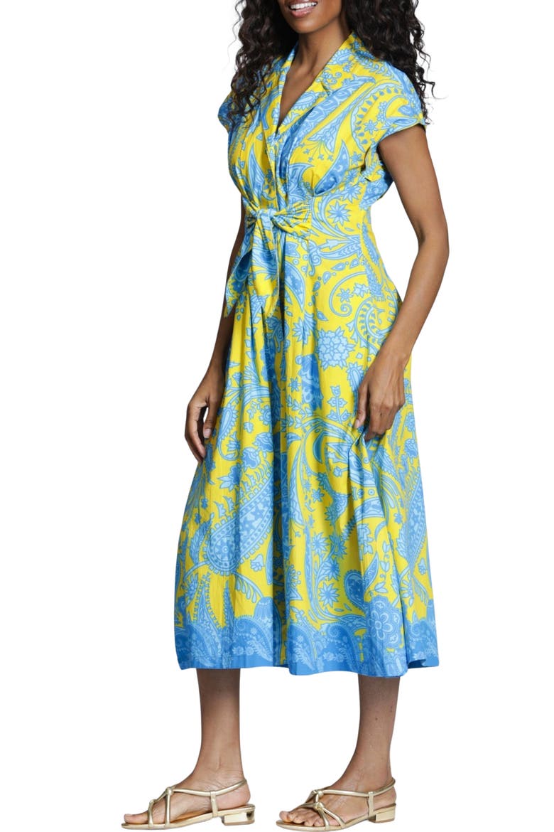 Paisley Print Tie Front A-Line Dress, Alternate, color, YELLOW MULTI