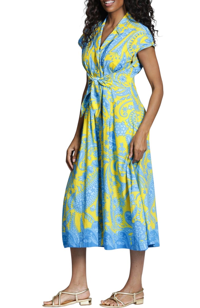 APNY Paisley Print Tie Front A-Line Dress, Alternate, color, Yellow Multi