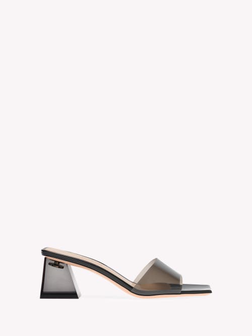 Gianvito Rossi Cosmic 55 Mule Sandals In Black