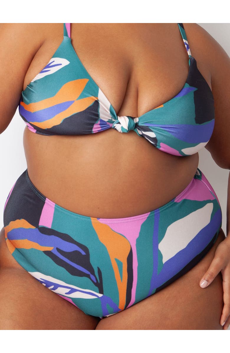 Villa Fresca Blake Bikini Swim Bottoms, Alternate, color, 