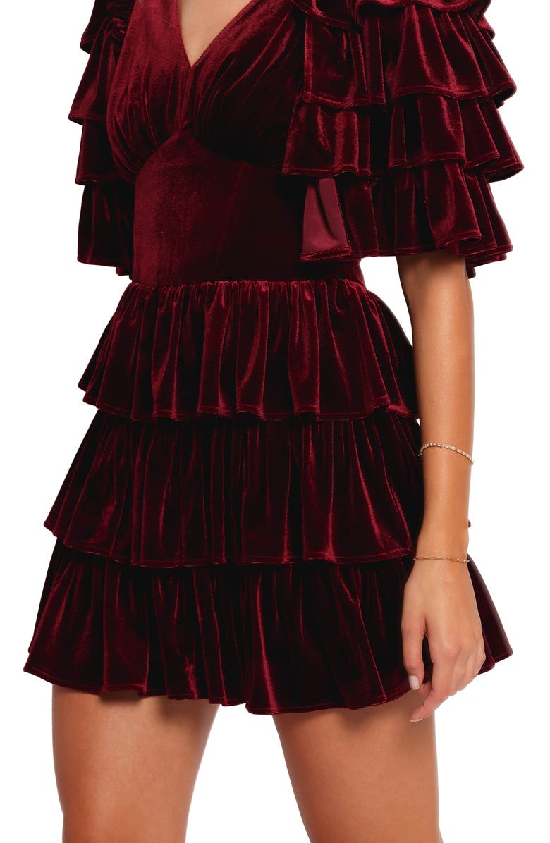 Petal & Pup Agnes Ruffle Velvet Tunic, Alternate, color, Wine