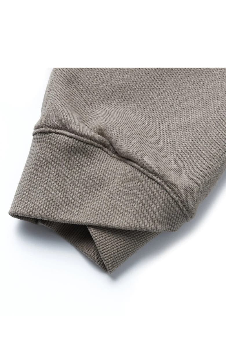 IISE Half Zip Cotton Sweatshirt, Alternate, color,