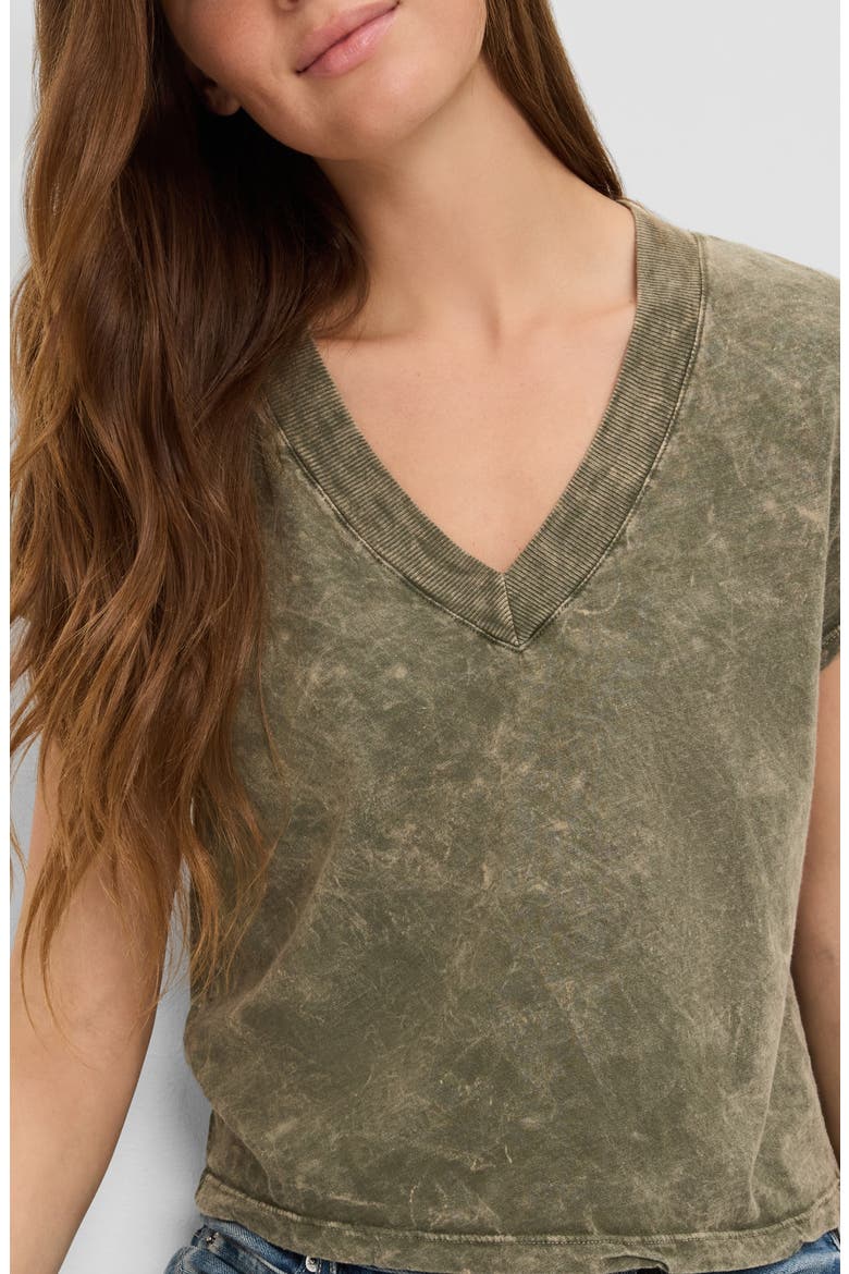 Harlan Cropped V-Neck T-Shirt, Alternate, color, CAPER