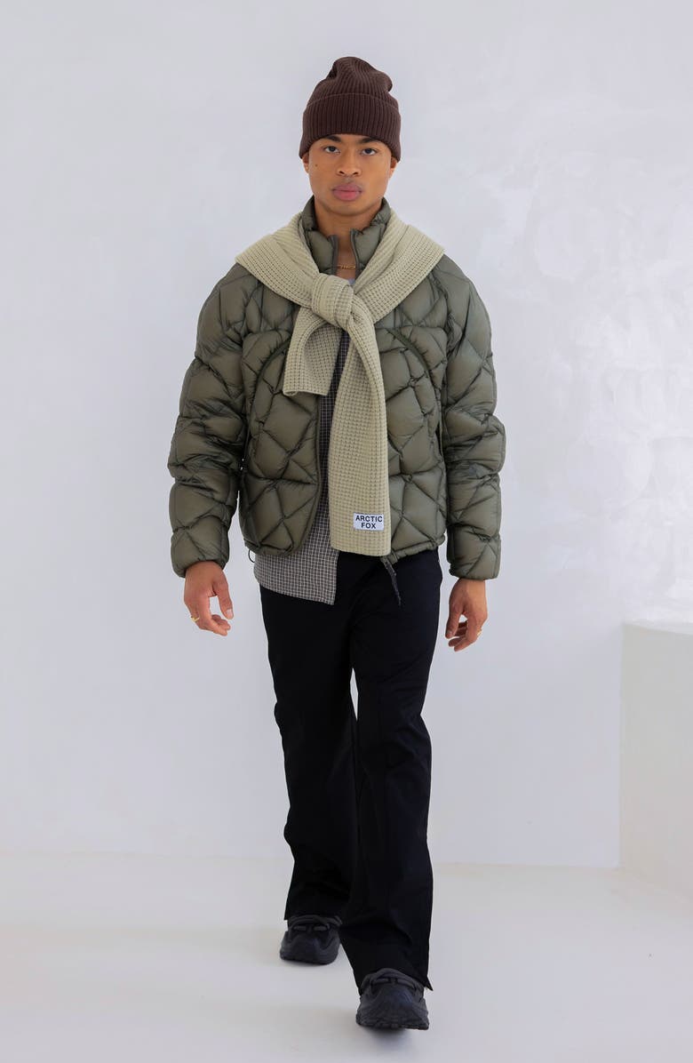 Arctic Fox & Co The Recycled Bottle Scarf, Alternate, color, Arctic Grey