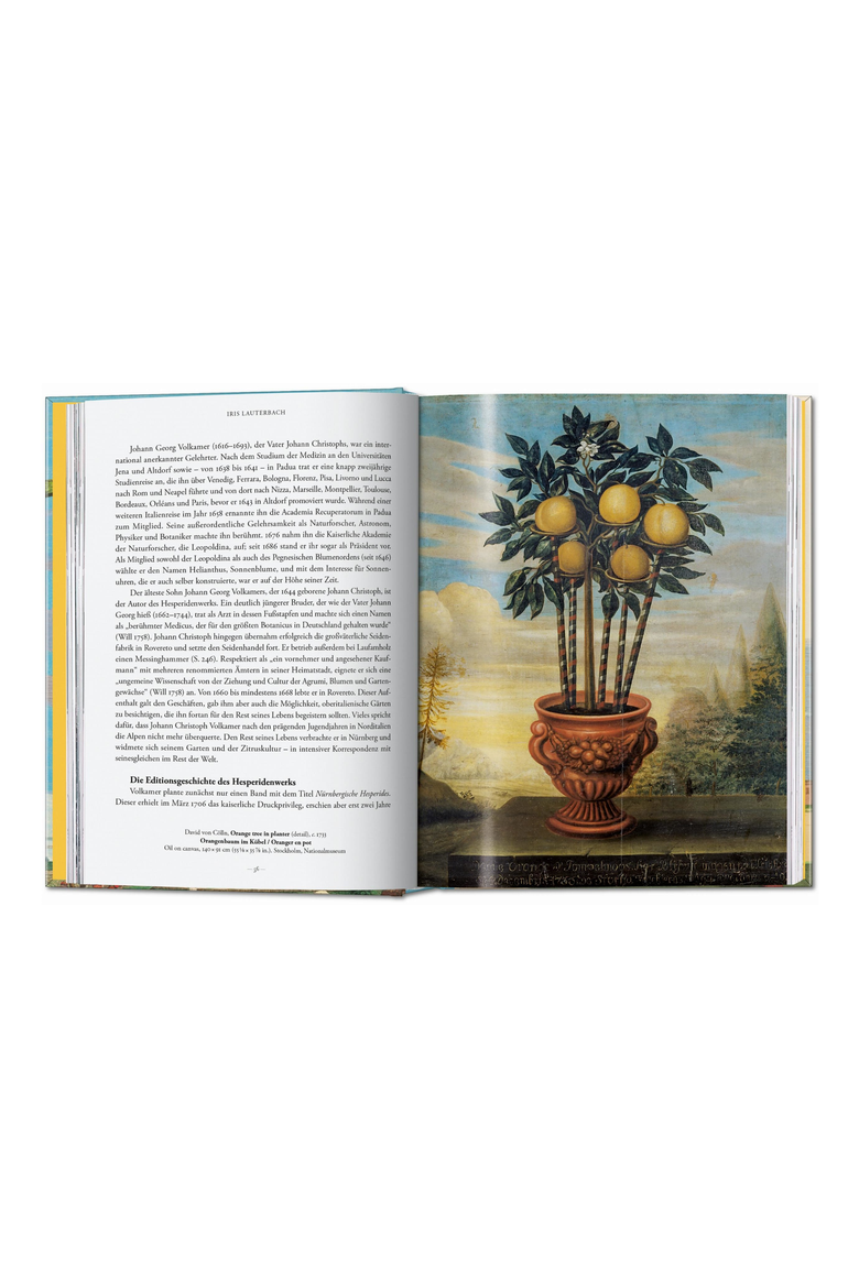 J C Volkamer The Book of Citrus Fruits 45th ed English French German Book, Alternate, color, Orange