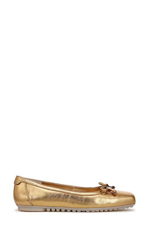 Franco Sarto Imara Square Toe Ballet Flat In Gold