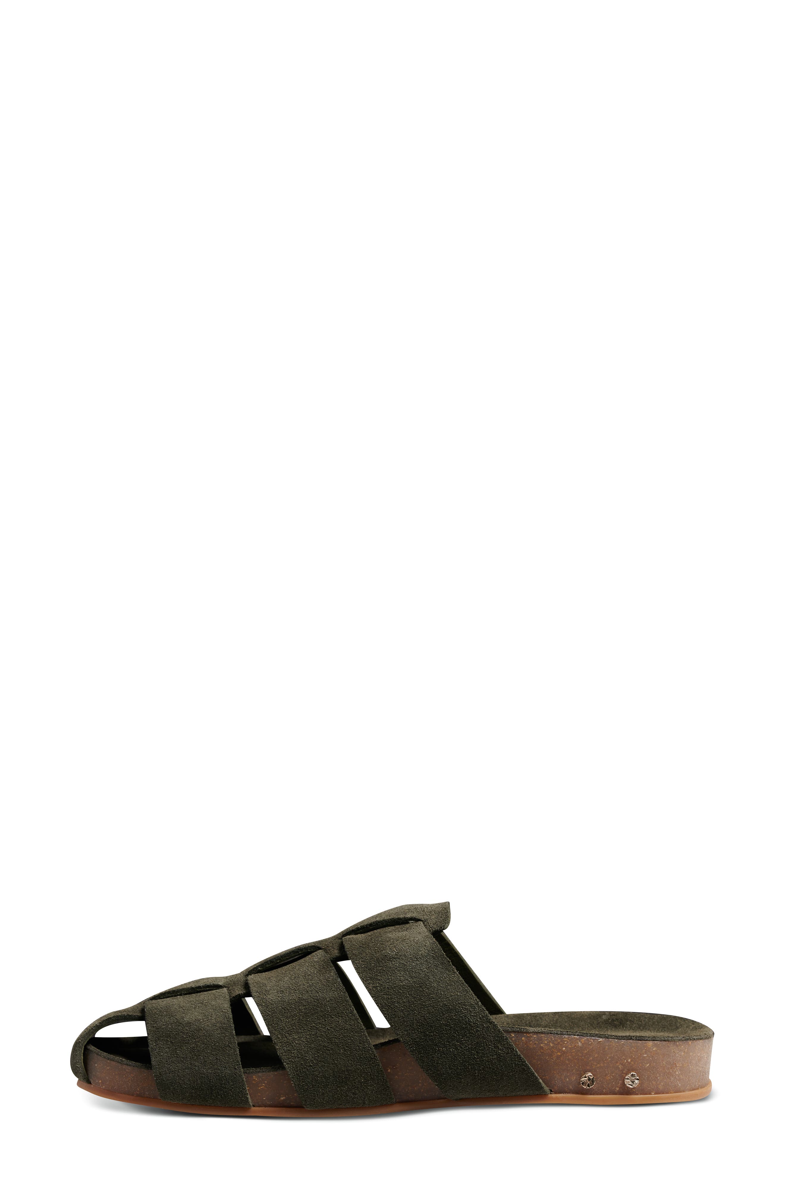 Tody Mule, Alternate, color, MOSS