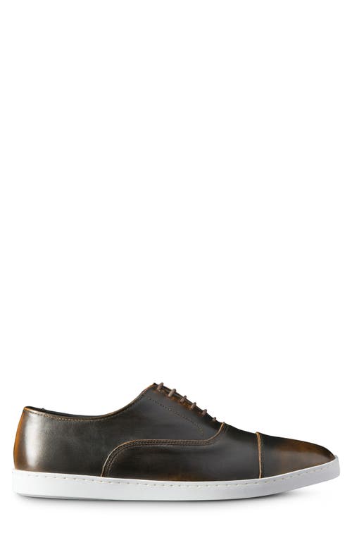 Allen Edmonds Park Sneaker In Vintage Hickory