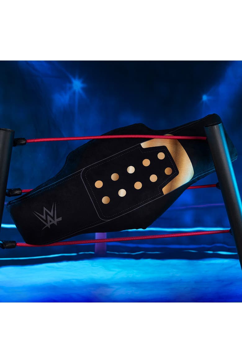 WWE Heavyweight Championship Belt 24" Bleacher Buddy, Alternate, color, None