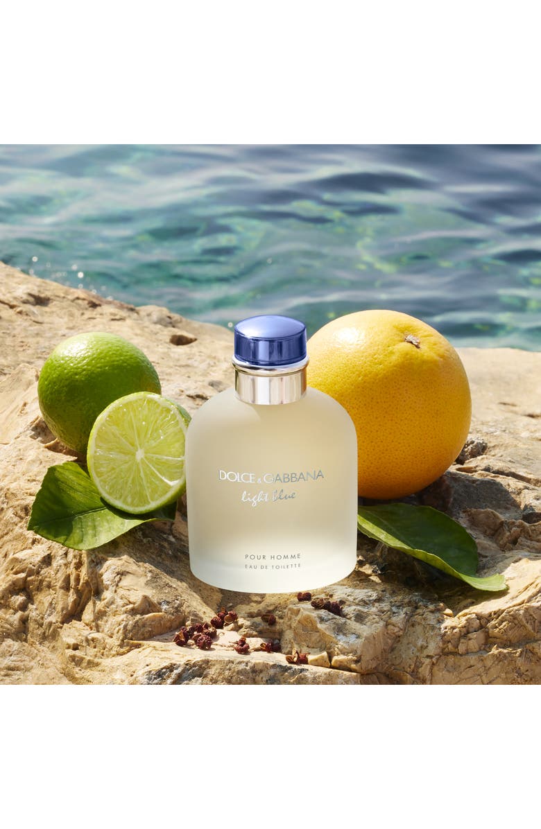 Dolce&Gabbana Light Blue pour Homme Eau de Toilette, Alternate, color, 