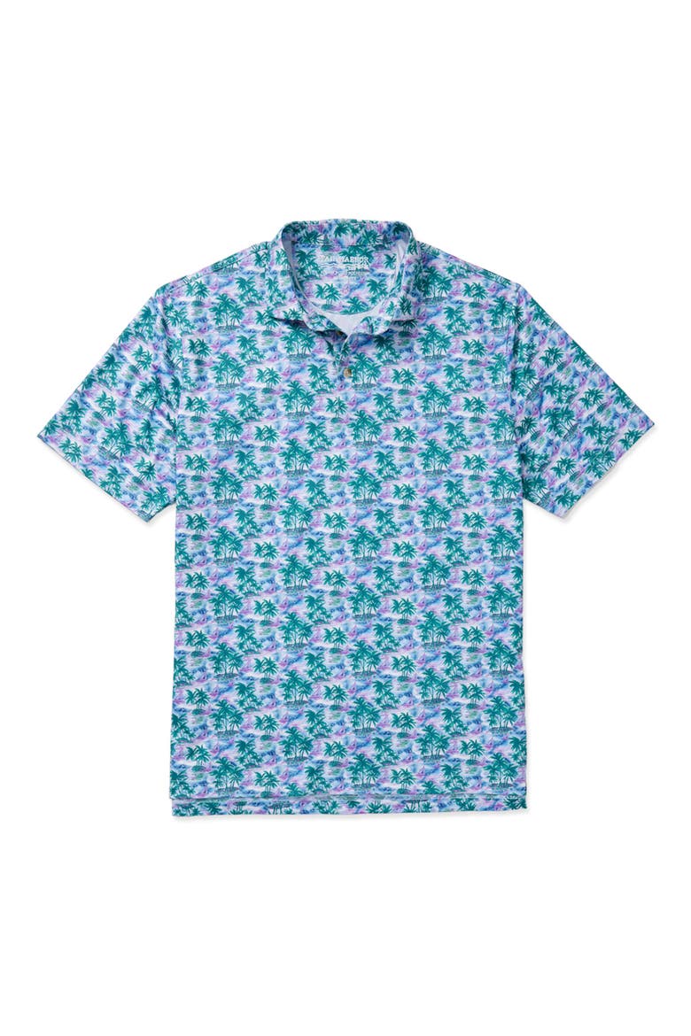 Compass Print Polo, Alternate, color, BLUE PARADISE