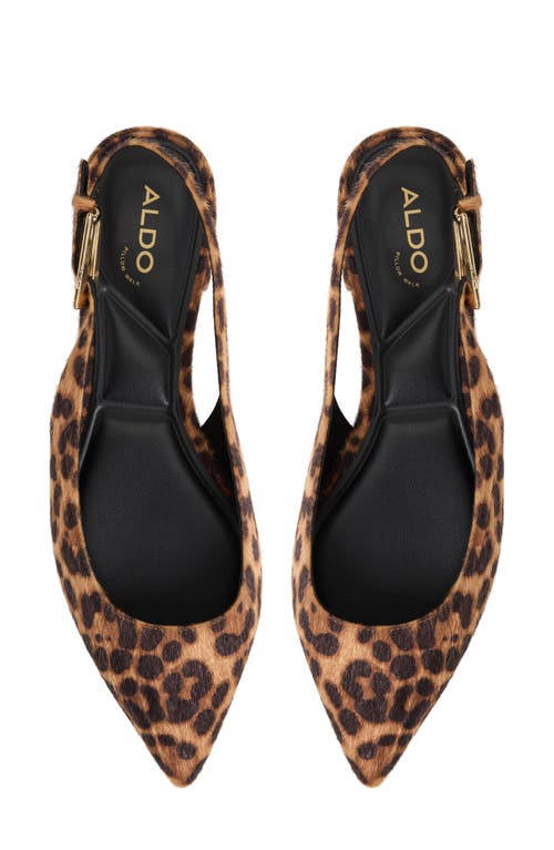 Aldo Kristell Pointed Toe Slingback Flat
