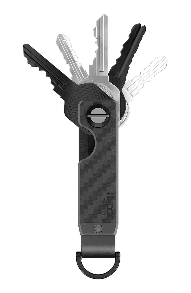 the Ridge The Keycase Key Chain, Alternate, color,