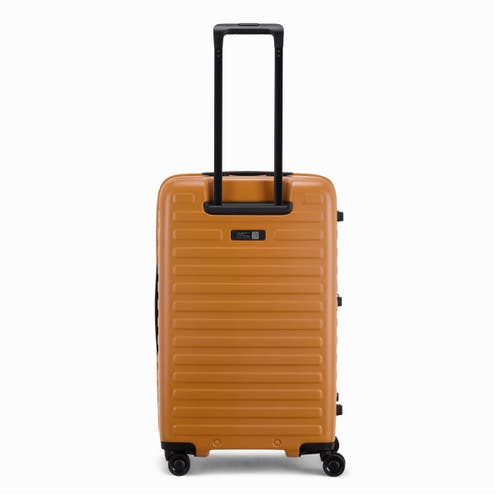 Lojel Cubo Fit Lite Check