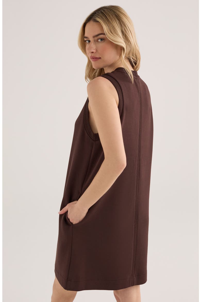 Elba Shift Dress, Alternate, color, COFFEE BEAN