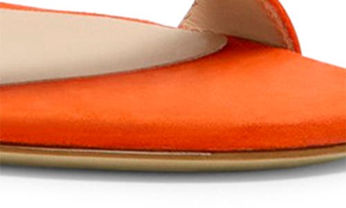 Stuart Weitzman Nudist Suede Ankle-strap Sandals In Paradise