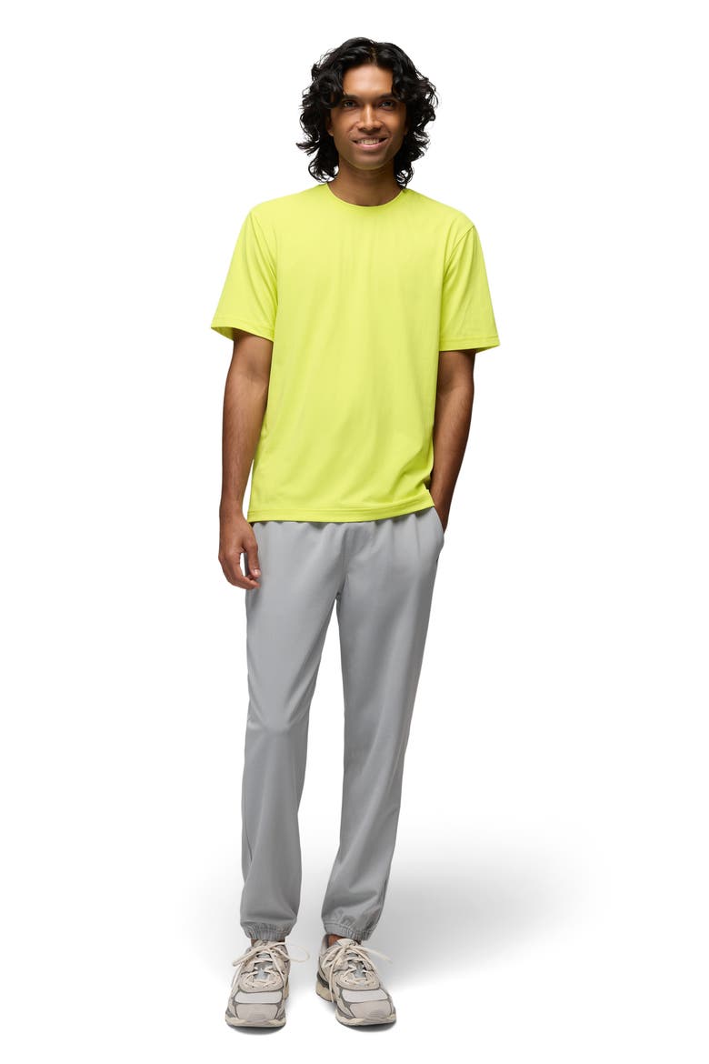 Equalize Crewneck T-Shirt, Alternate, color, GECKO POP