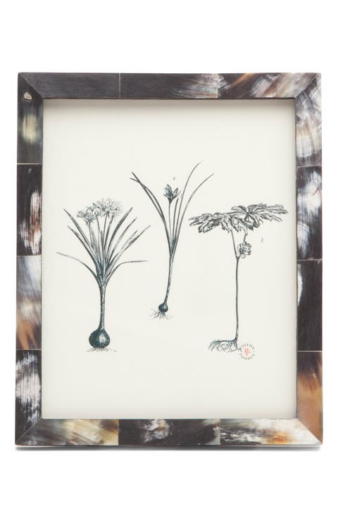 Essen Dark 8x10 Frame