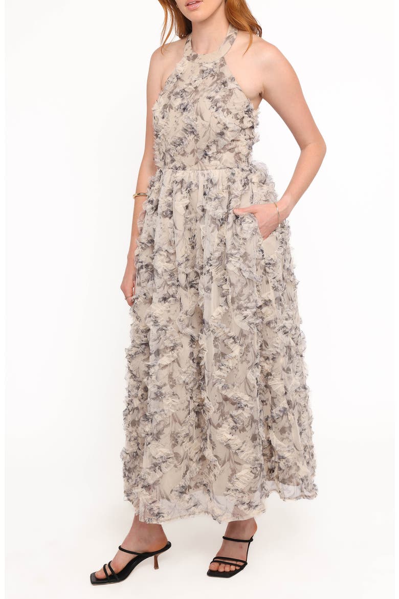 Delora Floral Print Halter Maxi Dress, Alternate, color, FLORAL