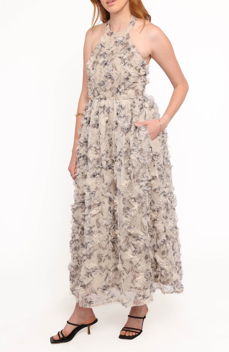 Petal & Pup Delora Floral Print Halter Maxi Dress, Alternate, color, Floral