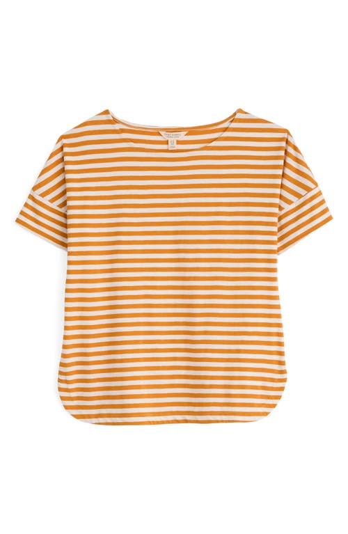 Seasalt Cornwall Bryher View Stripe Organic Cotton T-shirt In Orange