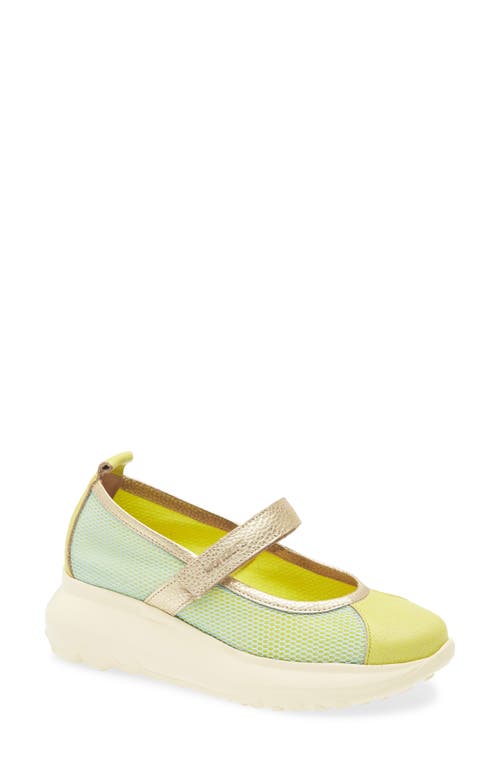 Wonders Mesh & Leather Flat In Cyber/platino