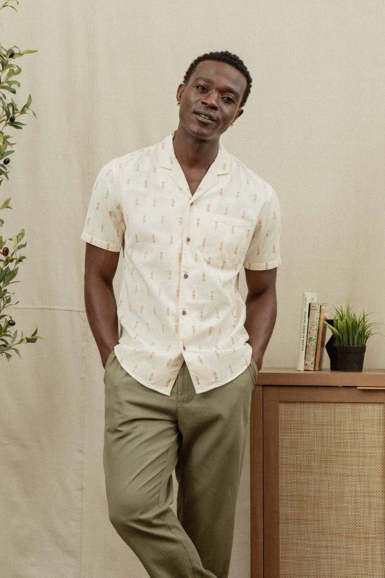 Collins Slim Shirt, Alternate, color, Dune Chevron