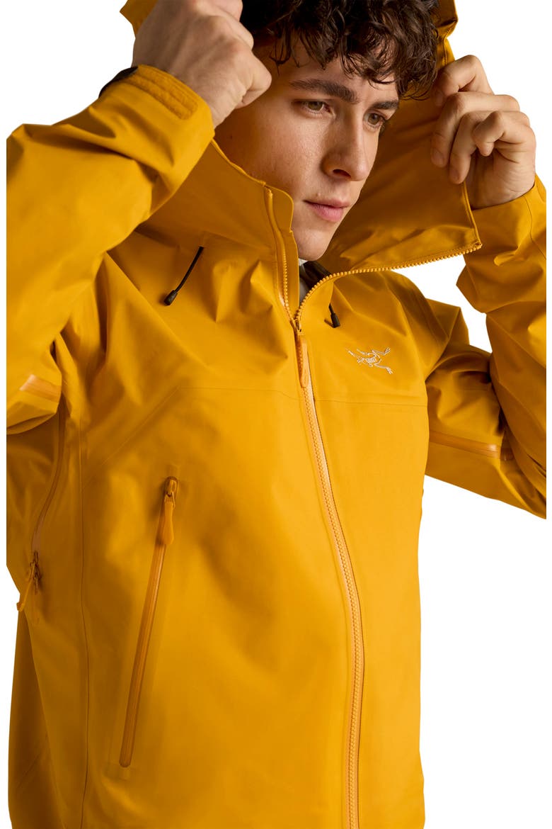 Beta SL GORE-TEX Hooded Jacket, Alternate, color, NUCLEUS