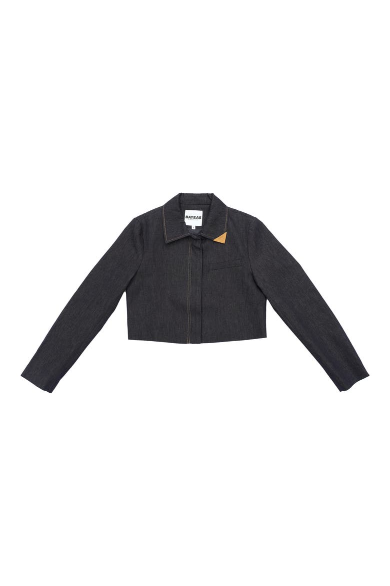 Patrick Crop Denim Jacket, Alternate, color, RINSE WASH