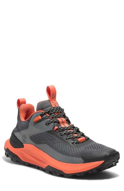 Timberland Motion Access Sneaker In Animal Print
