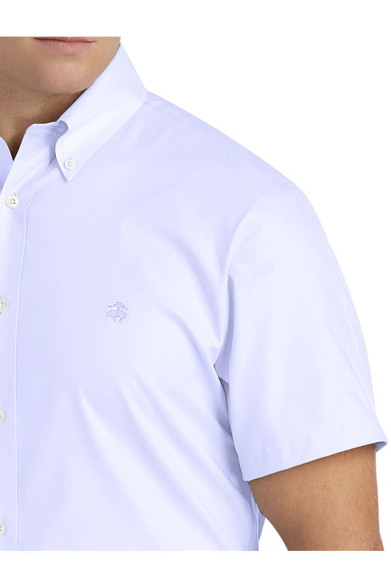 Big & Tall Non-Iron Solid Oxford Sport Shirt, Alternate, color, LAVENDER