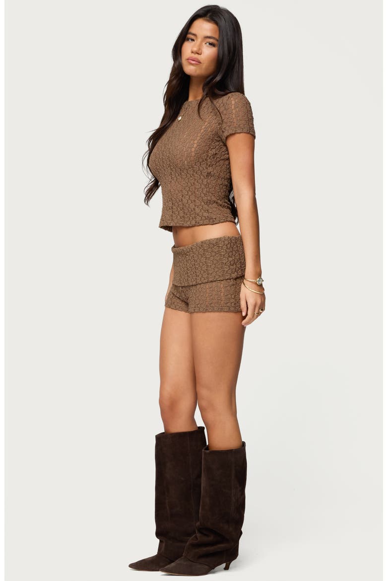 Rye Stretch Lace T-Shirt, Alternate, color, BROWN