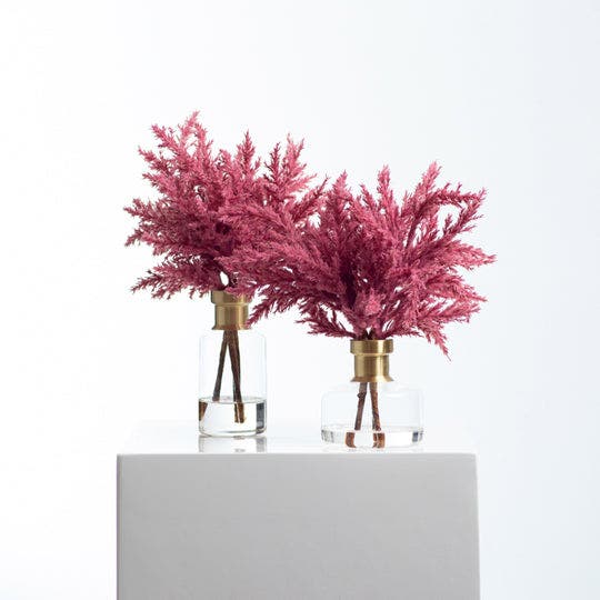 Pink Set - Short & Tall