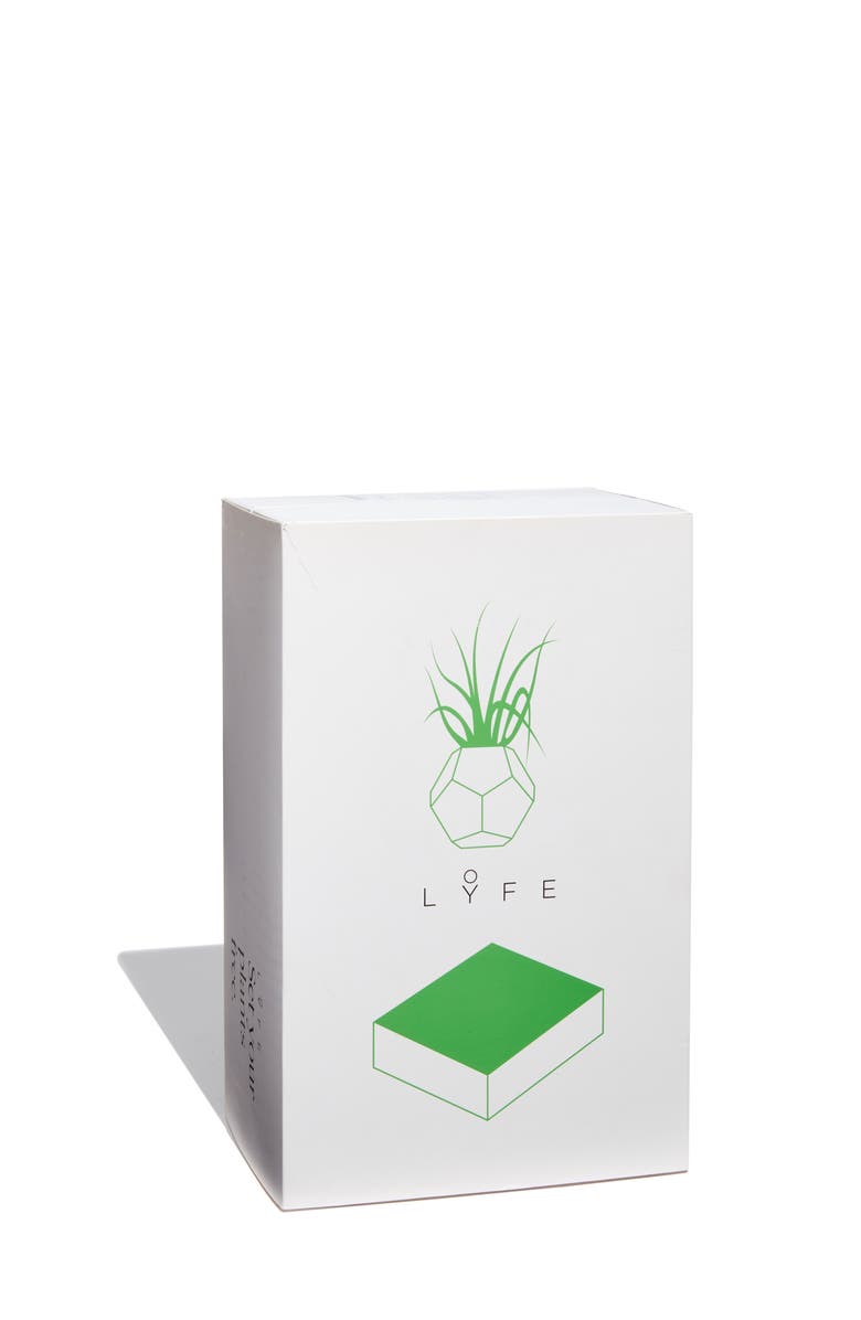 FLYTE Lyfe Levitating Planter, Alternate, color, 