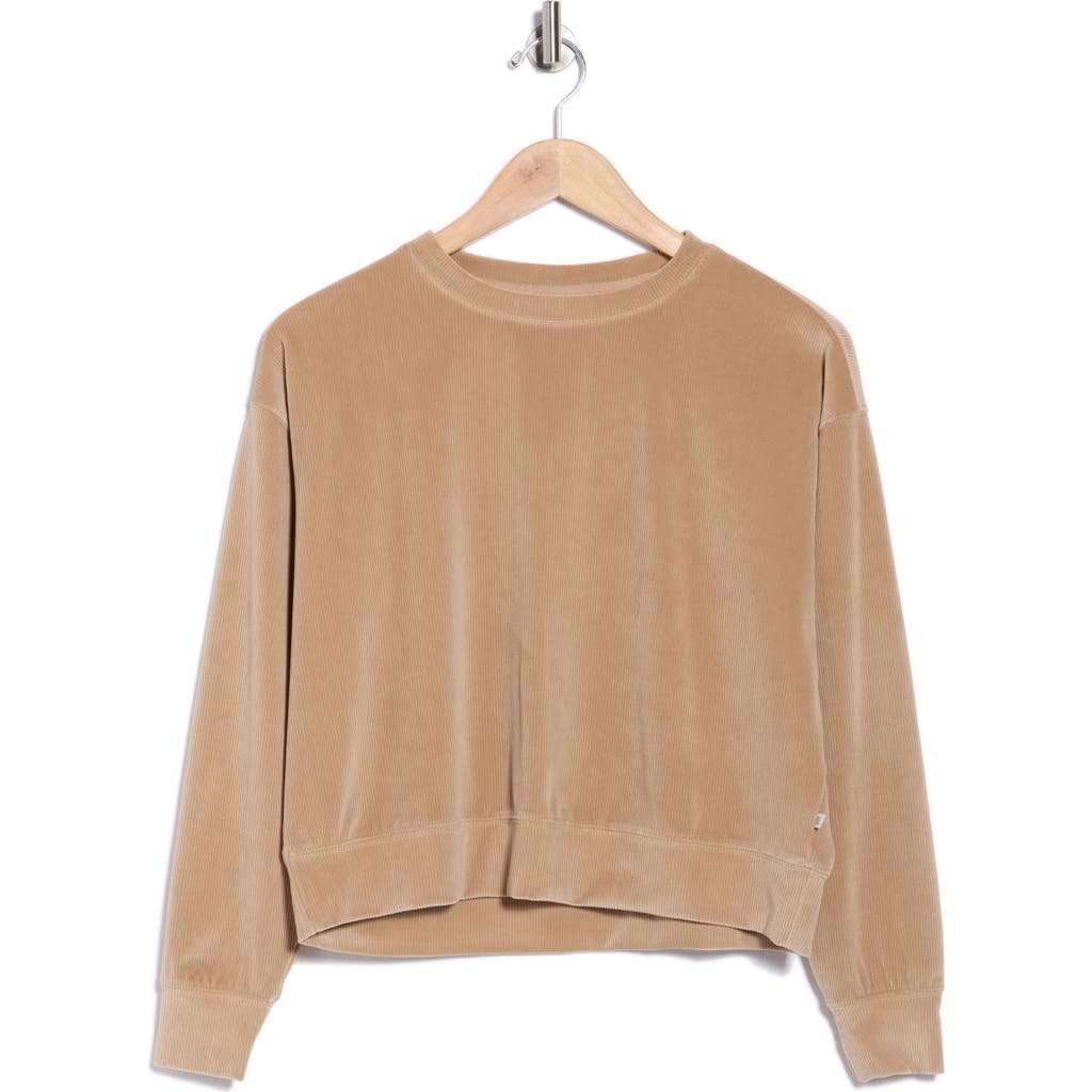 Marika Stormi Crop Sweatshirt In Brown