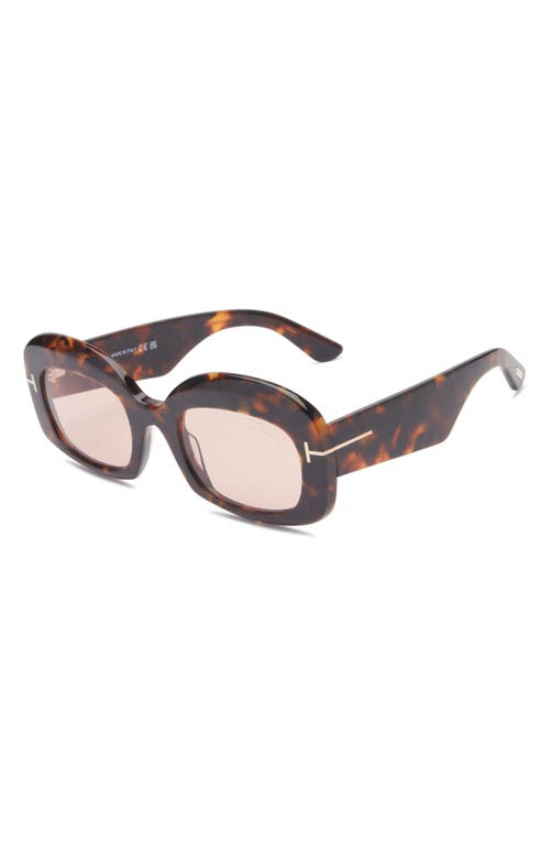 Tom Ford 53mm Square Sunglasses In Brown