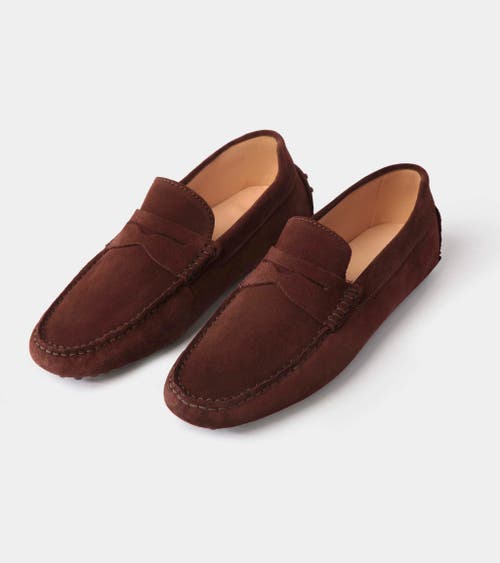 Jack Erwin Parker Suede Casual Driving Loafer In Brown