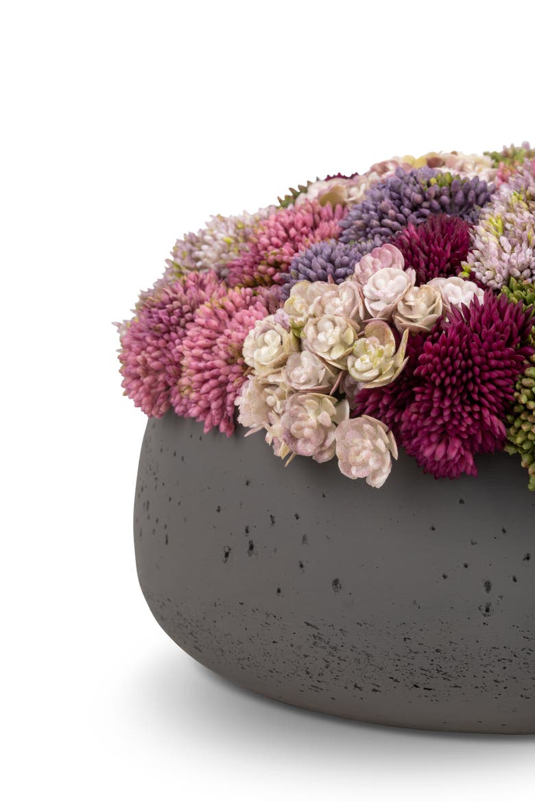 Ariane Sedum Arrangement, Alternate, color, Charcoal