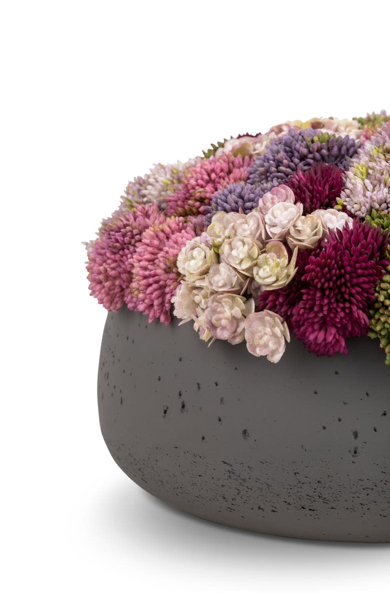 CocoBella Ariane Sedum Arrangement, Alternate, color, Charcoal