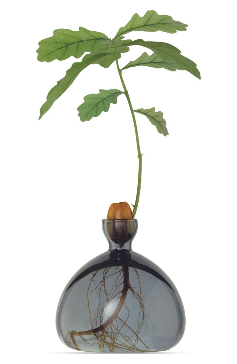 ILEX STUDIO Acorn Vase, Main, color,