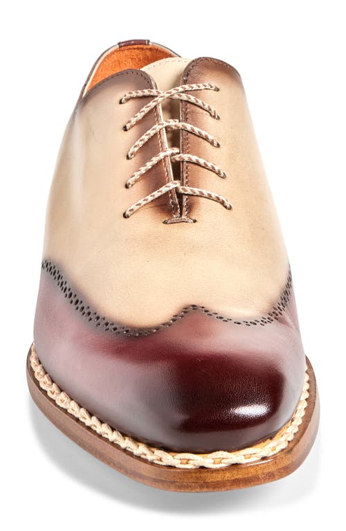 Mezlan Almagro Brogue Oxford In Red/bone