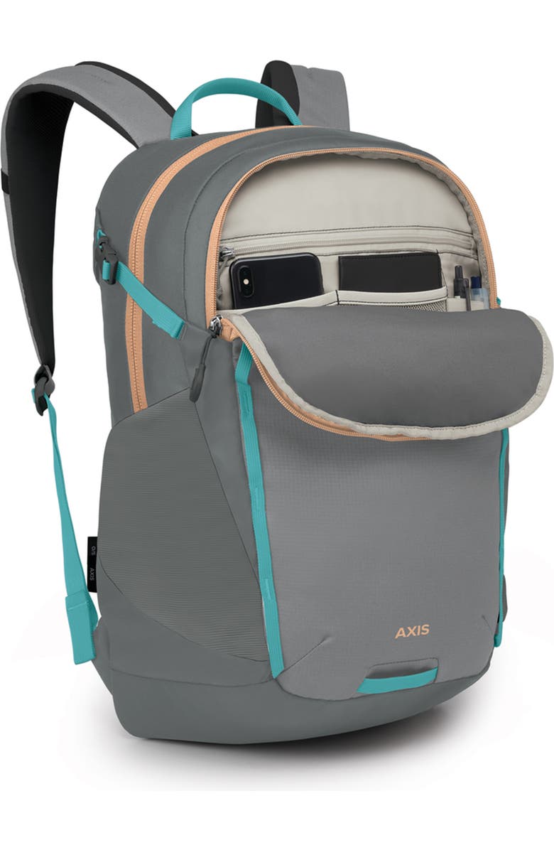 Osprey Axis 24-Liter Backpack, Alternate, color, Medium Grey/ Coal Grey