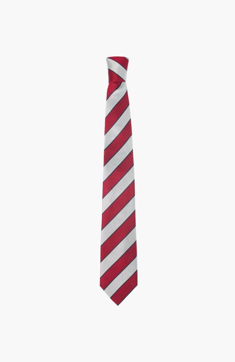 Striped Silk Tie