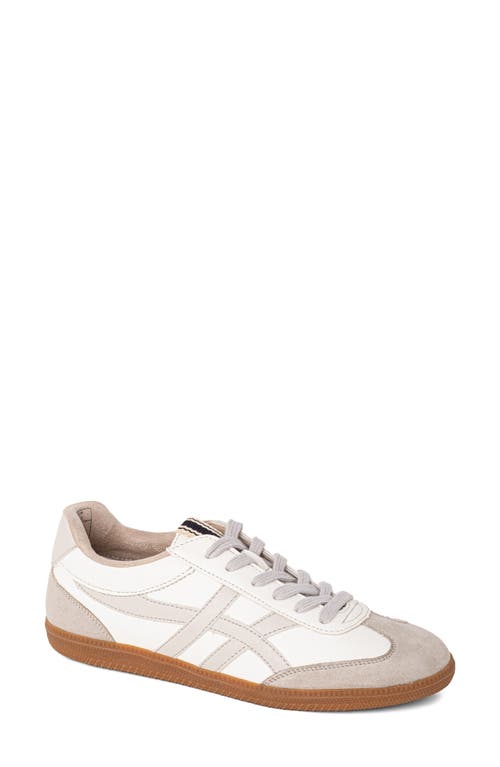 Shushop Sasha Sneaker In White