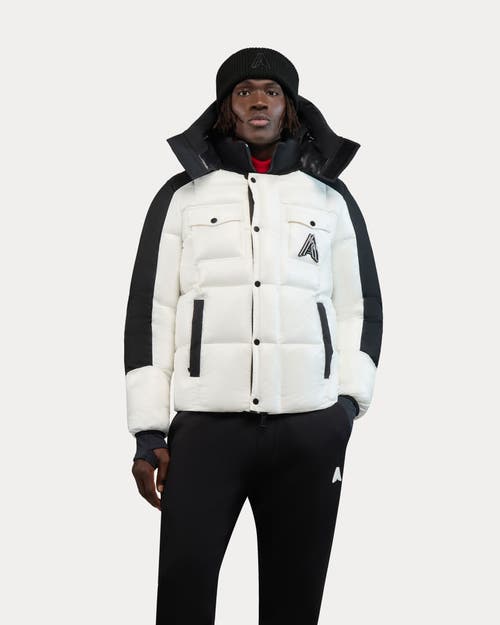 Alpenhaus Chambery Expedition Puffer Jacket in Ice White  product