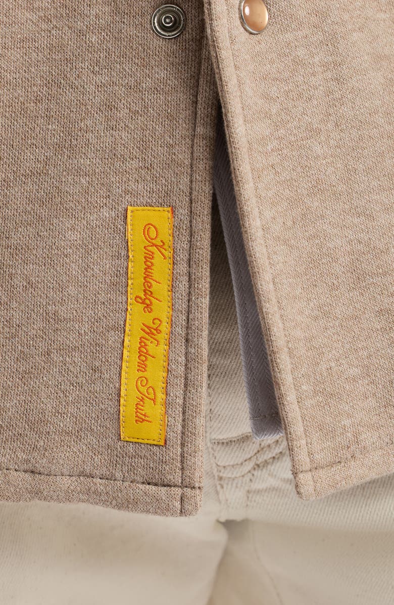 Robert Graham Deschon Cotton Knit Snap-Up Shirt, Alternate, color, Oatmeal